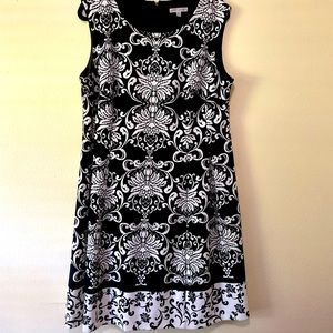 EUC Sandra Darren Fit and Flare Dress